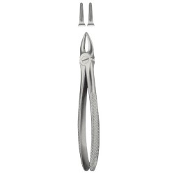 Tooth Extracting Forceps